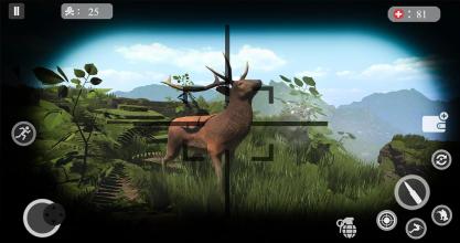 Deer Hunting Games 2019  Animal Hunting截图1