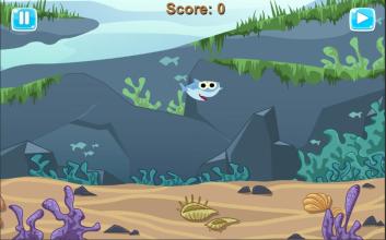 The Little Baby Shark Game截图3