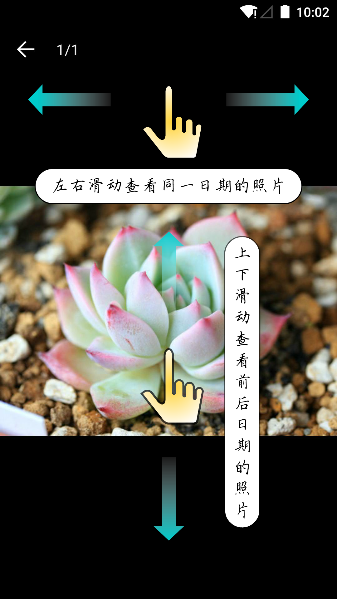 多肉成长记v2.9.2截图4