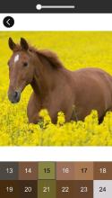 Horse Color By Number Game Pony Pixel Art截图2