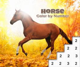 Horse Color By Number Game Pony Pixel Art截图4