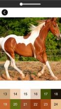 Horse Color By Number Game Pony Pixel Art截图3