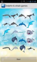 Dolphin Show Games For截图4