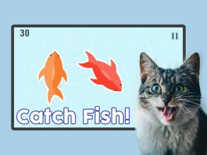 Fish for Cats  Cat Fishing Game截图1