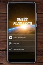 Guess Flag Logo截图2