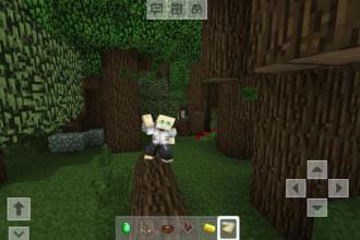 Mini Crafting Creative and Survival截图1