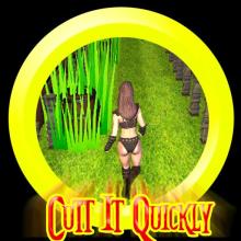 Cutt It Quickly截图2