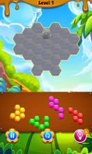 Parrot Hexagon Block Puzzle截图2