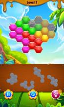 Parrot Hexagon Block Puzzle截图1