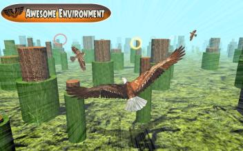 Bird Chase Mania: Eagle Hunt Endless Flying 3D截图1