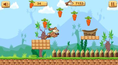 Bunny RunJungle Rabbit截图1