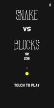 Snake and Blocks Classic截图5