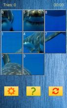 Animals Slide Puzzles截图4