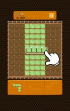 Block Puzzle Farm截图2