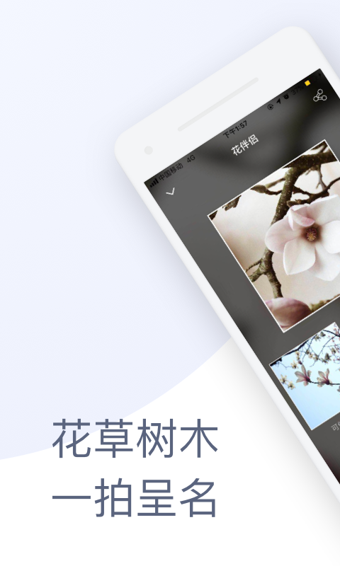 花伴侣v3.1.1截图1