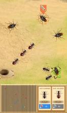 Ant Life - War Simulator截图3