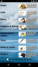 Bird Songs of Europe Quiz & Guide截图4