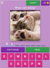 Pets Quiz For Kids截图1