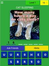 Cats Quiz Trivia截图4