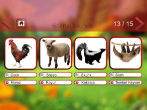 Animal Sounds & Animal Names截图2