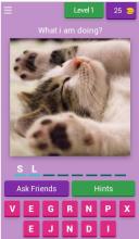 Pets Quiz For Kids截图5