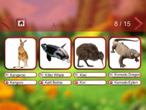 Animal Sounds & Animal Names截图5