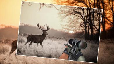 CLASSIC DEER HUNTER 2019JUNGLE WILD CHALLENGE截图3