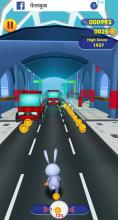 Animal Highway Runner截图1