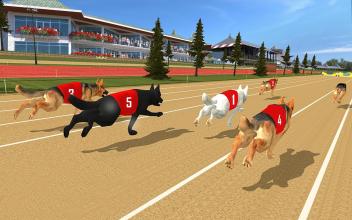 Dog real Racing Derby Tournament simulator截图3