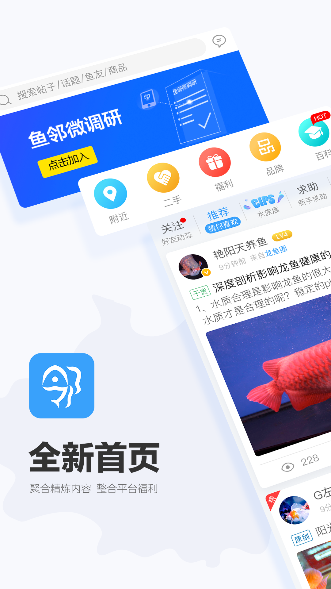 龙巅鱼邻v2.1.3截图1