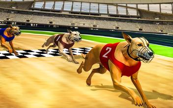 Dog real Racing Derby Tournament simulator截图2