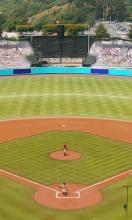 Baseball Virtual截图3