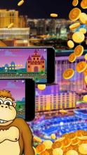 Crazy Monkey Adventures截图3