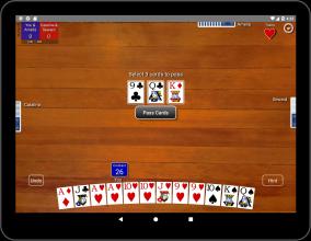 Pinochle Classic截图4