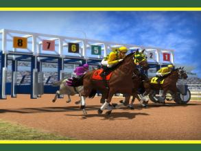 GN Horse Racing 2019截图2