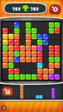 Block Puzzle Fruit Candy截图2