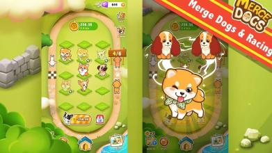 Merge DogsIdle Dog Tycoon截图5