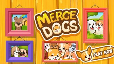 Merge DogsIdle Dog Tycoon截图1