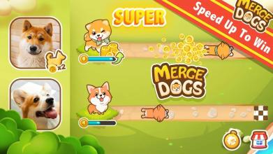 Merge DogsIdle Dog Tycoon截图4