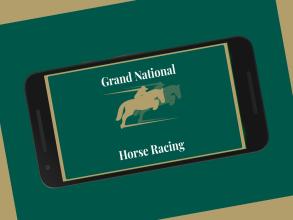 Horse Racing for Grand national截图5