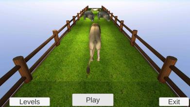 Lion RunBest Animal Running Games for Kids截图5