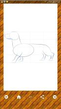 How To Draw Dogs截图3