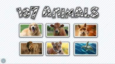 107 Animals截图4