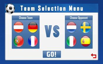 Euro 2016 Soccer截图4