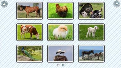 107 Animals截图3