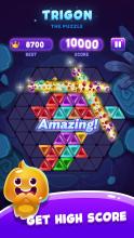 Trigon Jewel Triangle Block Puzzle Game截图3