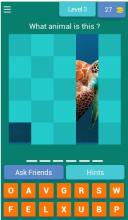Please Answer截图1
