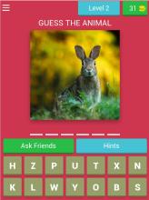 CAN YOU GUESS THE ANIMAL截图3