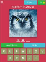 CAN YOU GUESS THE ANIMAL截图5