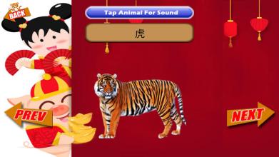 Learning Animals ABC Chinese Languanges截图2